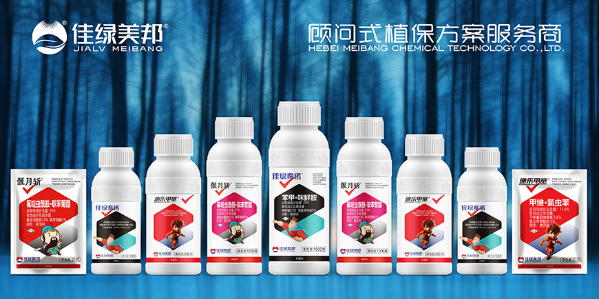 佳綠美邦——“智慧盾牌”讓產(chǎn)品脫穎而出、超級(jí)符號(hào)就是超級(jí)價(jià)值！