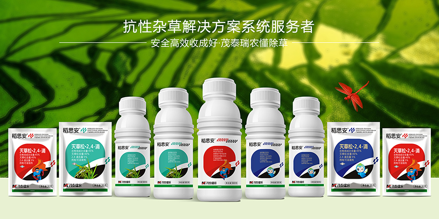 茂泰瑞農(nóng)——更極具東方之美的價(jià)值符號(hào)、讓產(chǎn)品傳播更有效！
